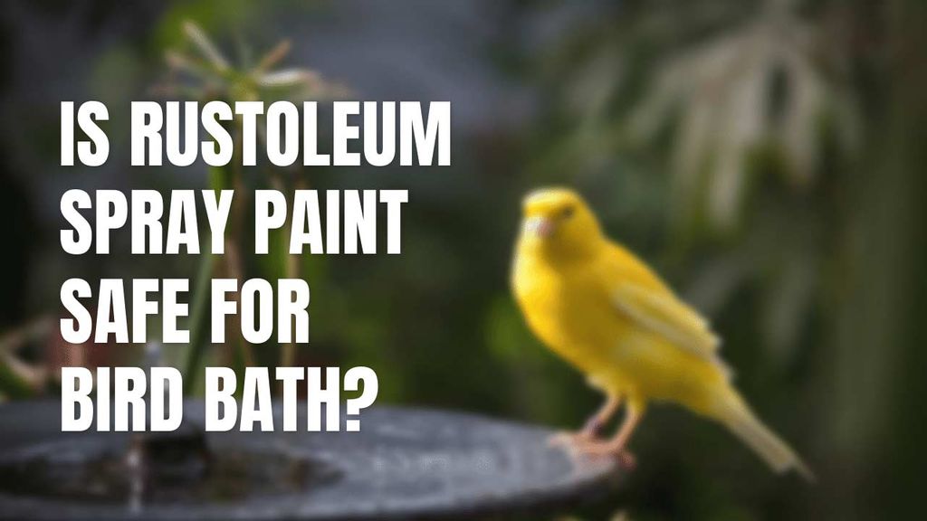 ¿Es segura la pintura en aerosol de Rustoleum para baños de pájaros