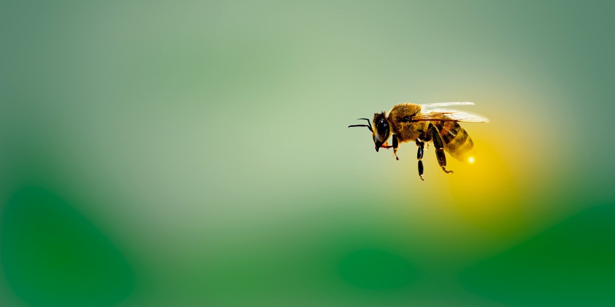 La pintura en aerosol atrae a las abejas, insectos y otros bichos