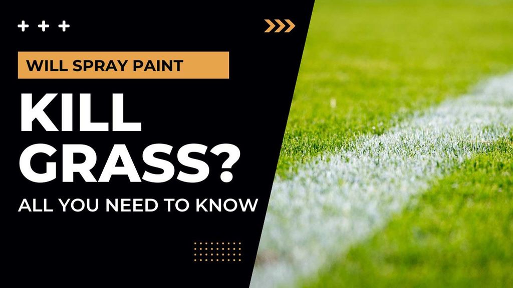 ¿La pintura en aerosol matará a la hierba? (Todo lo que necesitas saber